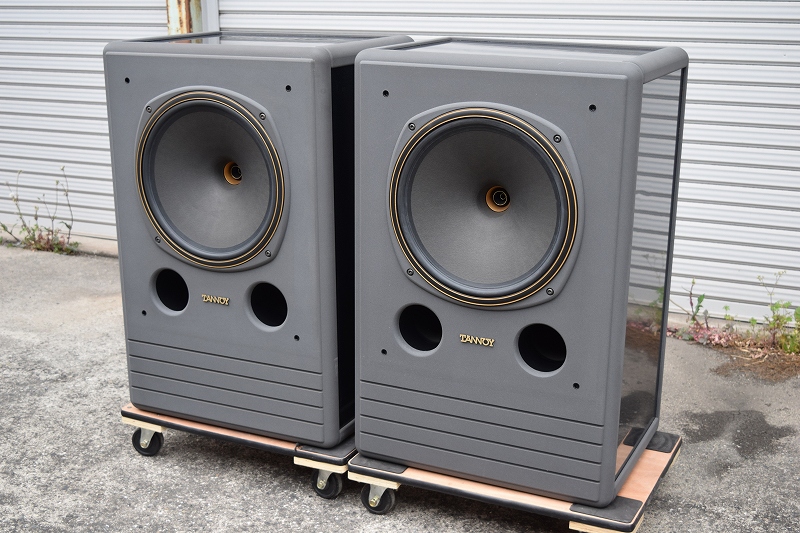 TANNOY SGM 15